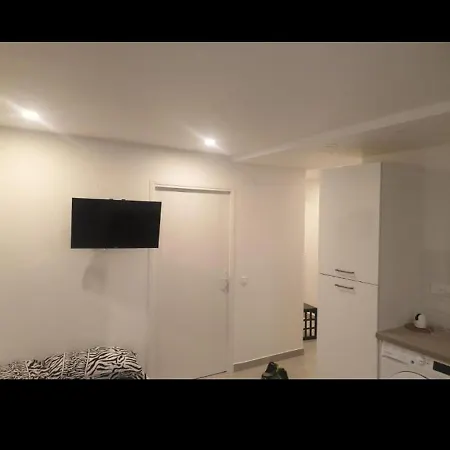 Grand Appartement, 2 Ou 3 Ou 4 Pieces, Tramway Sur Place, Proche Gare Sncf St Augustin 5 Min, Aeroport A 7 Min, Plage Ou Allianz Riviera 10 Min, Palais Nikaia 2 Min , Supermarche Sur Place, Parking Possible Si Disponible Ou Payant A 1000 Metre Nice Exterior photo