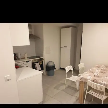 Grand Appartement, 2 Ou 3 Ou 4 Pieces, Tramway Sur Place, Proche Gare Sncf St Augustin 5 Min, Aeroport A 7 Min, Plage Ou Allianz Riviera 10 Min, Palais Nikaia 2 Min , Supermarche Sur Place, Parking Possible Si Disponible Ou Payant A 1000 Metre Nice Exterior photo
