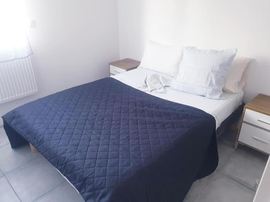 Grand Appartement, 2 Ou 3 Ou 4 Pieces, Tramway Sur Place, Proche Gare Sncf St Augustin 5 Min, Aeroport A 7 Min, Ou Allianz Riviera 10 Min, Palais Nikaia 2 Min , Supermarche Sur Place, Parking Possible Si Disponible Ou Payant A 1000 Metre Apartment *